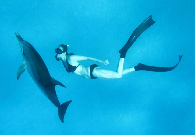 Emma Farrell freediving with wild spotted dolphins